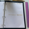 Planner professor 2025 editável abelhinha - Imagem 4
